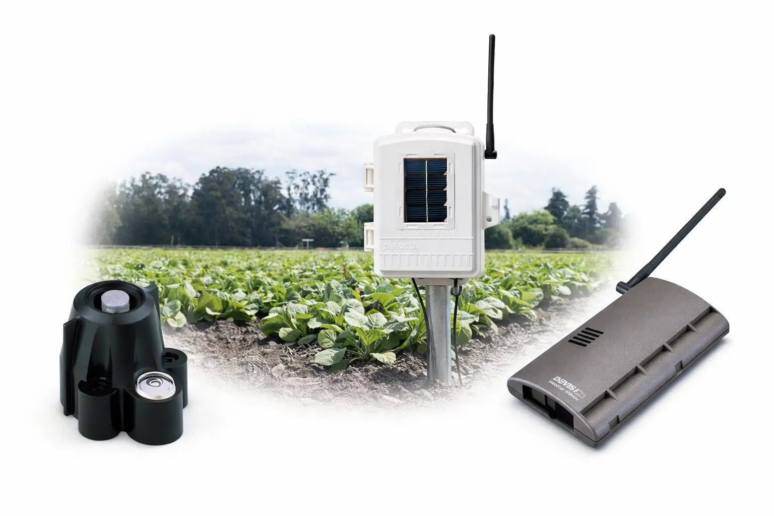 Sensores adicionales Davis Instruments